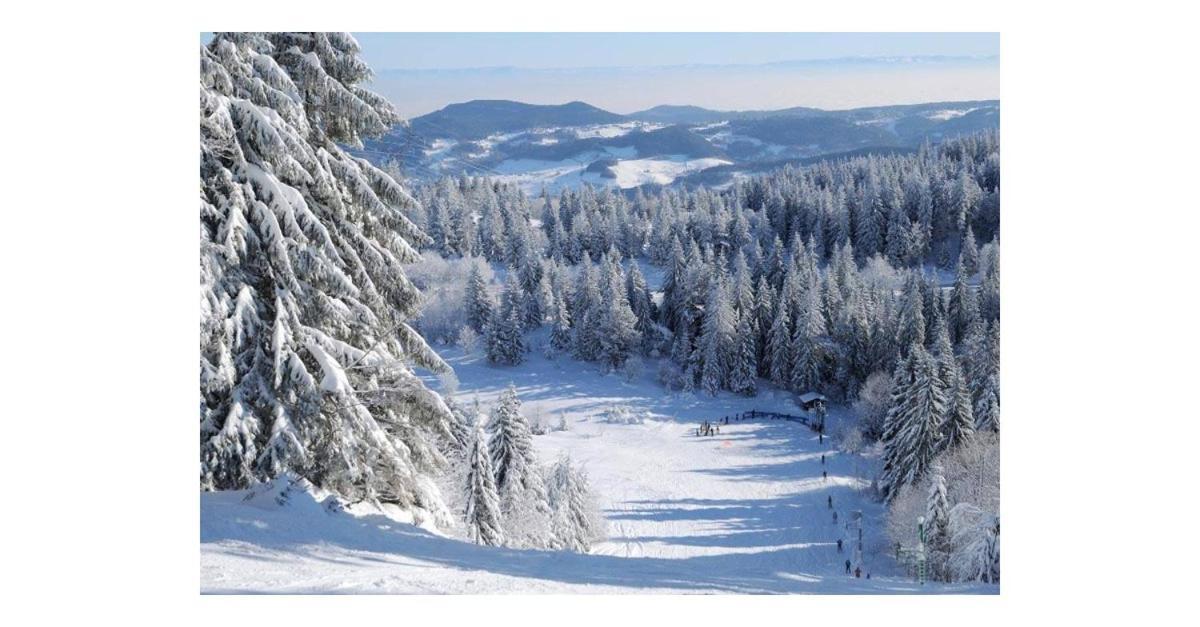 Le Bonhomme Proche De Kaysersberg Et Du Lac Blanc ภายนอก รูปภาพ